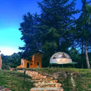 Alma de Campo