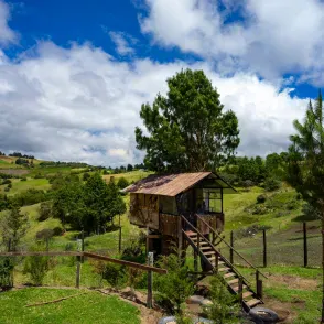 Tu Glamping Temáticos