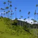 Quindio
